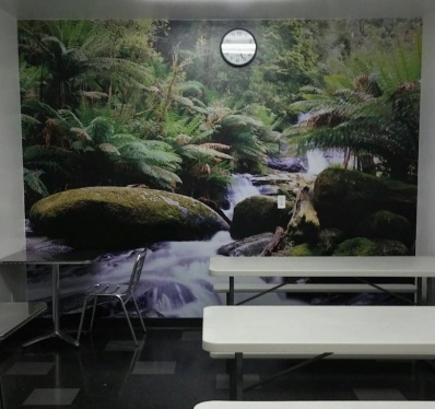 Printed Wallpaper - wall mural serving Riverside CA. and surrounding areas